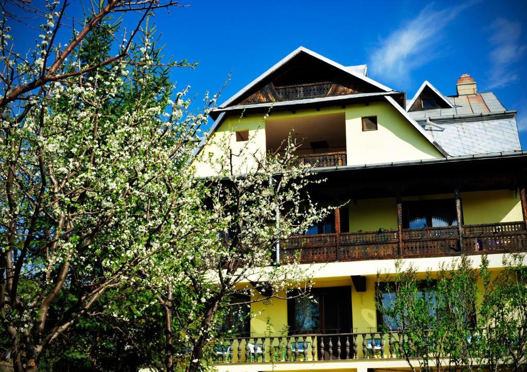 Pension Garofita Iasi Exteriér fotografie
